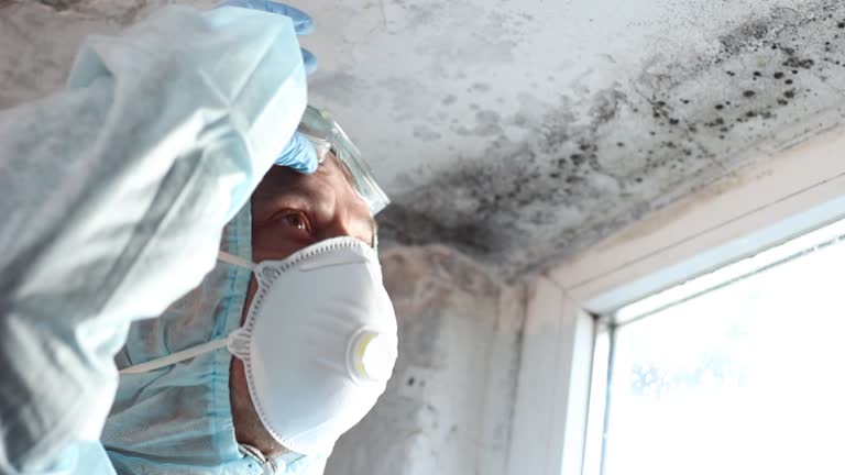 Best Biohazard Mold Removal  in Burlingame, CA